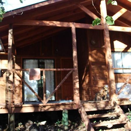 Cabana Bosque Viejo Βίλα Las Trancas Εξωτερικό φωτογραφία