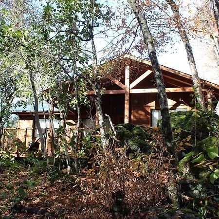 Cabana Bosque Viejo Βίλα Las Trancas Εξωτερικό φωτογραφία