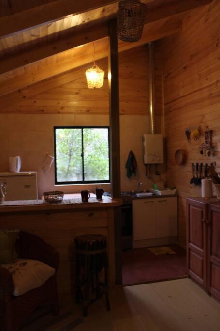 Cabana Bosque Viejo Βίλα Las Trancas Εξωτερικό φωτογραφία