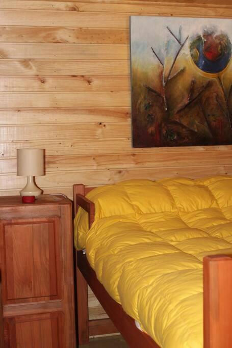 Cabana Bosque Viejo Βίλα Las Trancas Εξωτερικό φωτογραφία