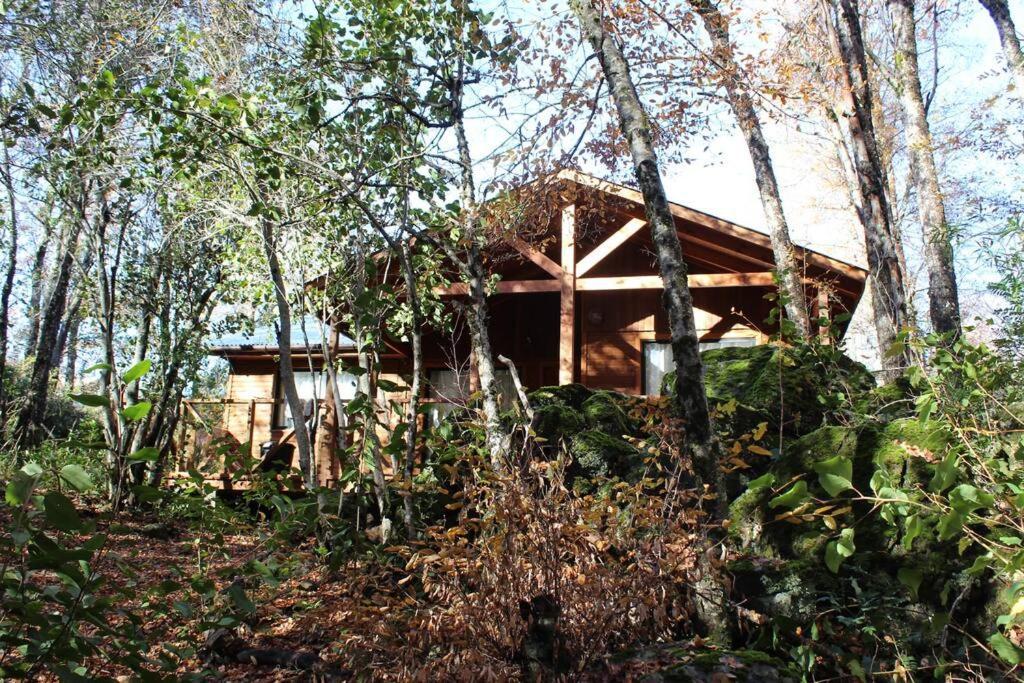Cabana Bosque Viejo Βίλα Las Trancas Εξωτερικό φωτογραφία