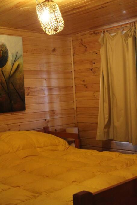 Cabana Bosque Viejo Βίλα Las Trancas Εξωτερικό φωτογραφία